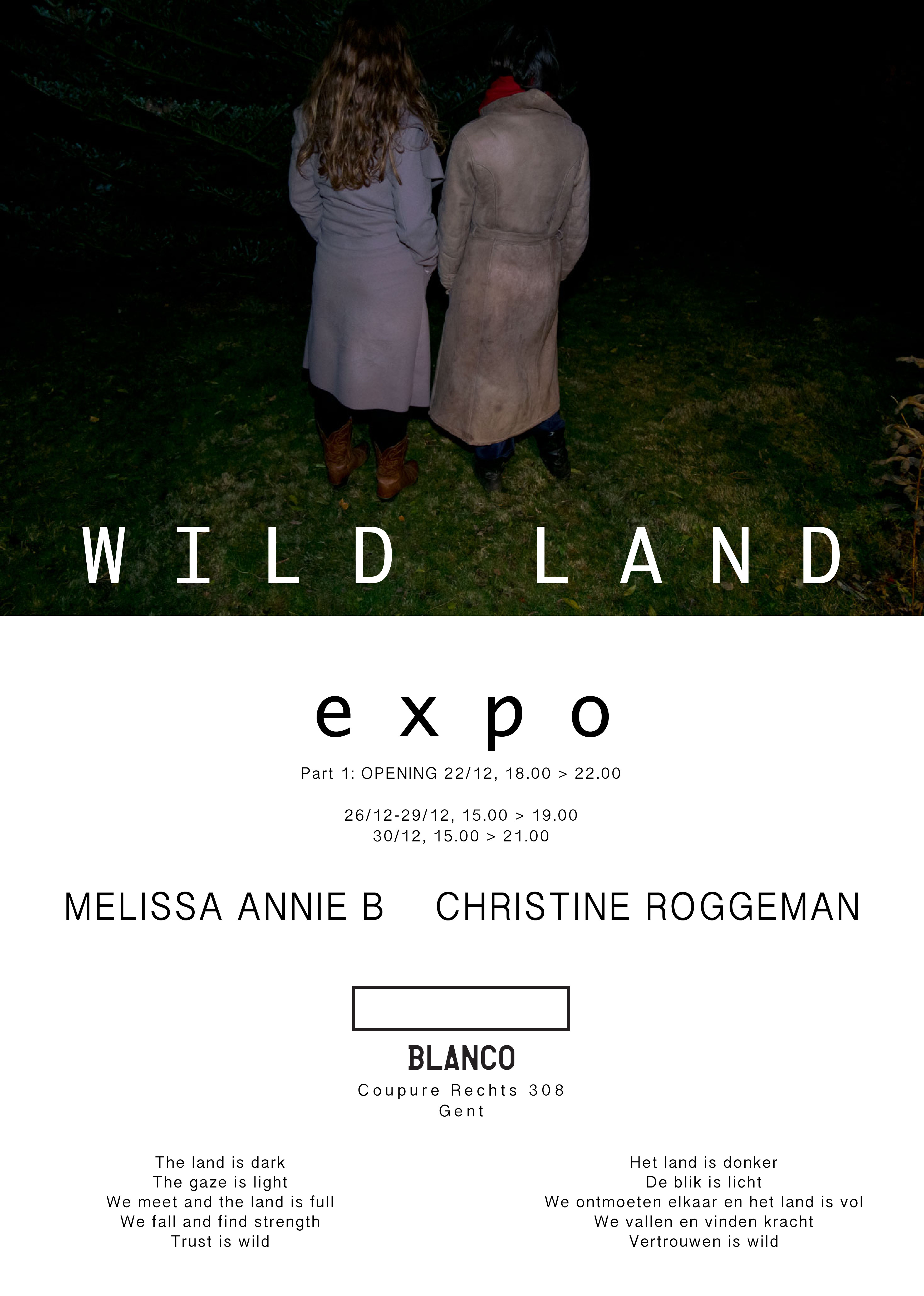 wild land flyer.jpg